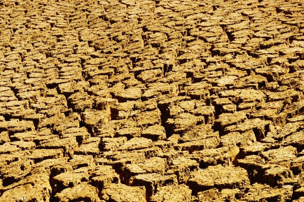 image-499814-Drought 2013 238.jpg